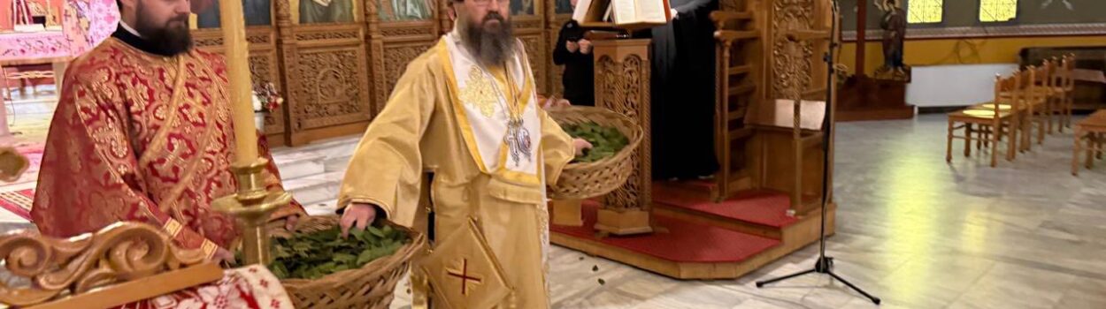 Ngjallu o Zot, gjyko dhenë….. E shtuna e madhe!