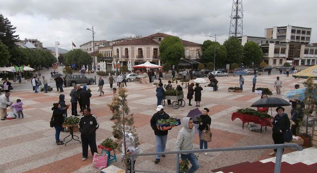 E Djela e Dafinës në Mitropolinë e Shenjtë Korçë, dorëzimi i një Dhiakoni të ri. (fotografi dhe video)